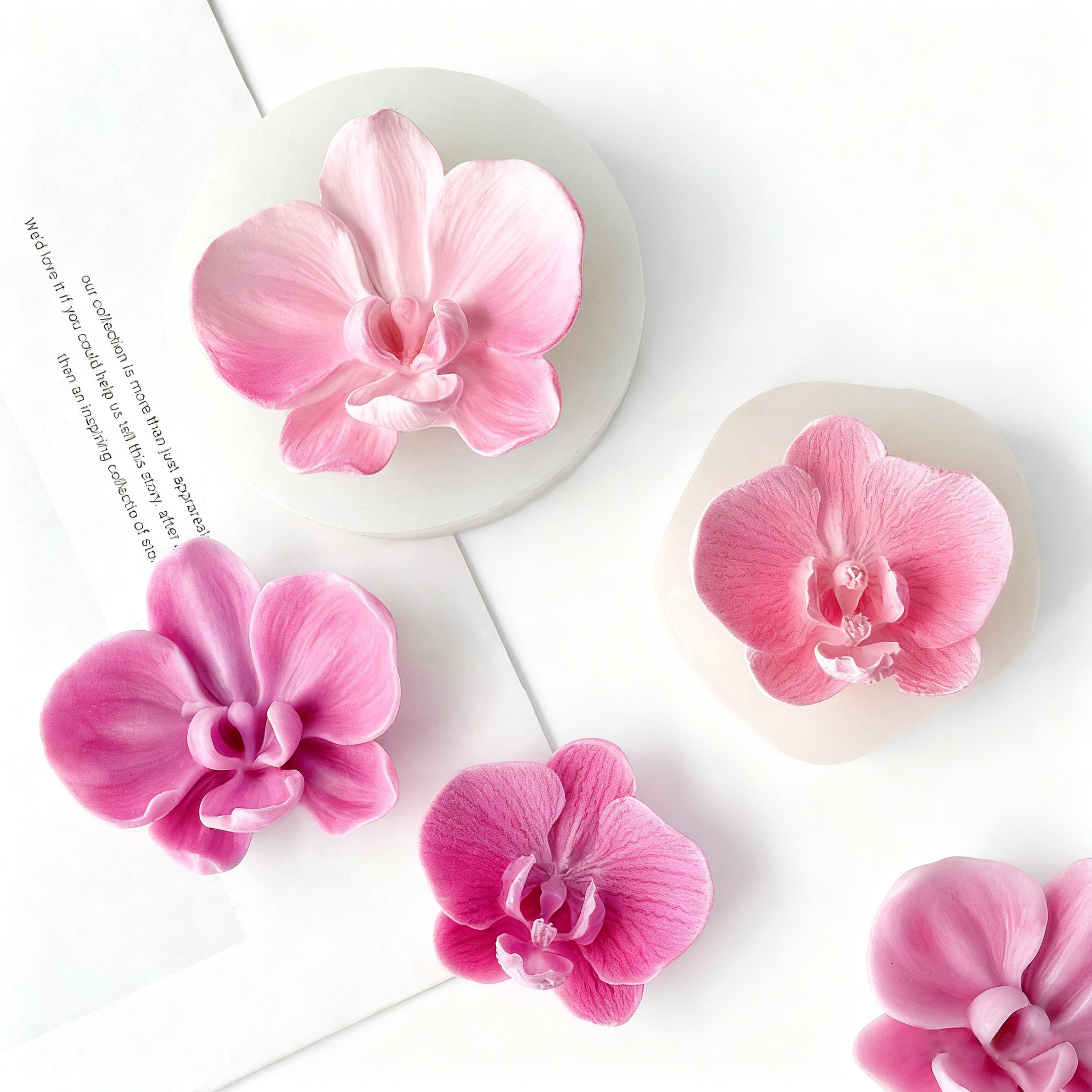 DIY Phalaenopsis Orchid Flower – Soap Making Chemical Bewertung und Preis