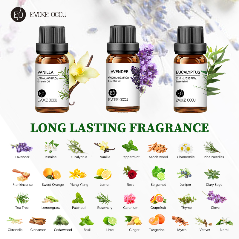 EVOKE OCCU 10mL Essential Oil, – Soap Making Ingredient Bewertung und Preis